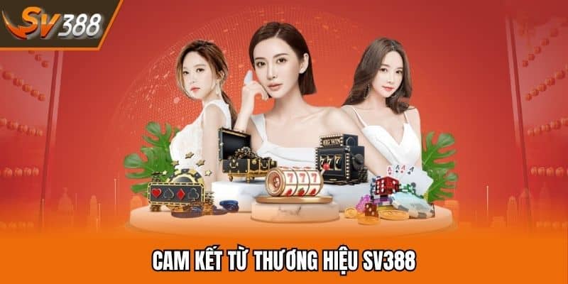 SV388 - Link Đá Gà Trực Tuyến 🐓 Đá Gà Thomo + 388k 5 Cam kết từ thương hiệu giải trí online SV388