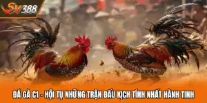 Đá Gà C1 - Hội Tụ Những Trận Đấu Kịch Tính Nhất Hành Tinh