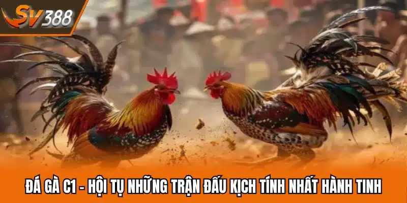 Đá Gà C1 - Hội Tụ Những Trận Đấu Kịch Tính Nhất Hành Tinh