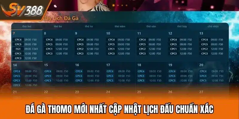 Đá gà Thomo mới nhất với thể loại truyền thống