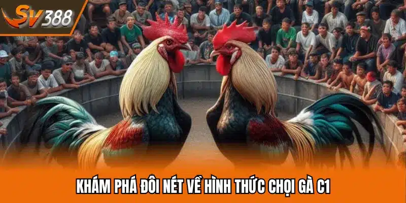 Khám phá đôi nét về hình thức chọi gà C1