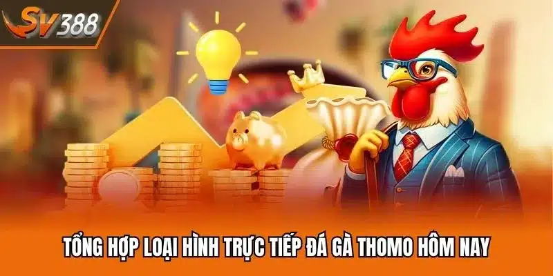 Tổng hợp loại hình trực tiếp đá gà Thomo hôm nay