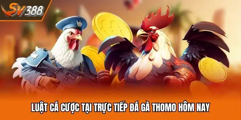 Luật cá cược tại trực tiếp đá gà Thomo hôm nay