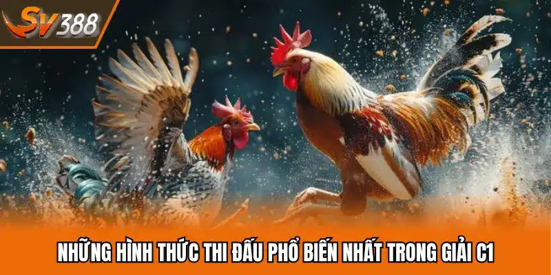 Những hình thức thi đấu phổ biến nhất trong giải C1