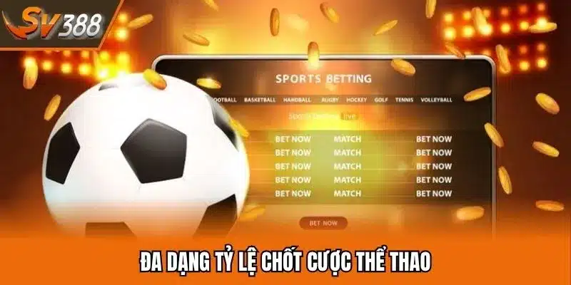 Hấp dẫn với các tỷ lệ nhận định kèo thể thao đẳng cấp