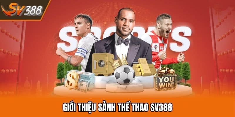 SV388 - Link Đá Gà Trực Tuyến 🐓 Đá Gà Thomo + 388k 8 Giới Thiệu Sảnh Thể Thao SV388