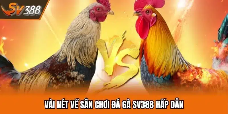 Vài nét về sân chơi đá gà SV388 hấp dẫn