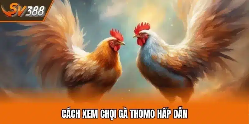 Theo dõi màn thư hùng hấp dẫn từ sân chơi Thomo